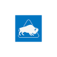Buffalo